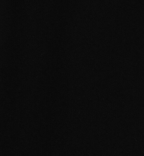 DES PRES「ウールジョーゼット ワイドフレアパンツ」|スラックス|