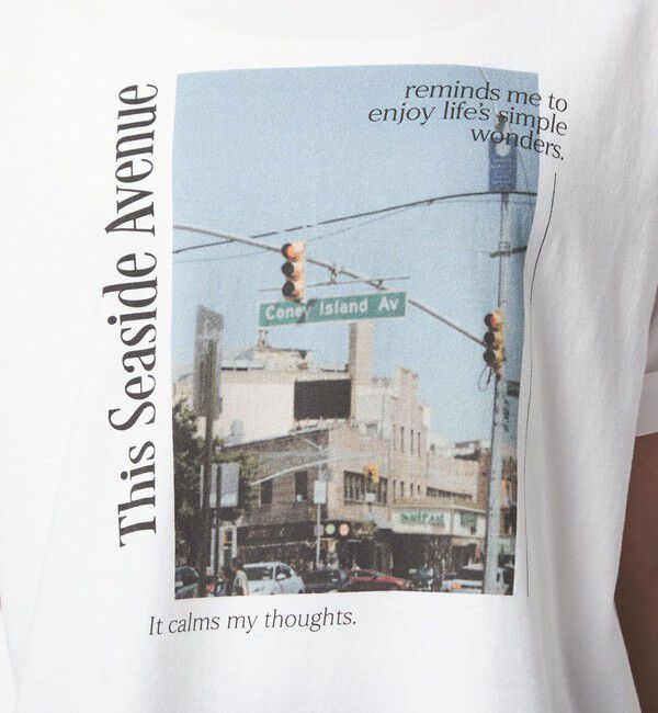 UNITED ARROWS green label relaxing「【WEB限定】＜at ease＞アソート フォトプリント ショートスリーブ カットソー」|Tシャツ・カットソー|