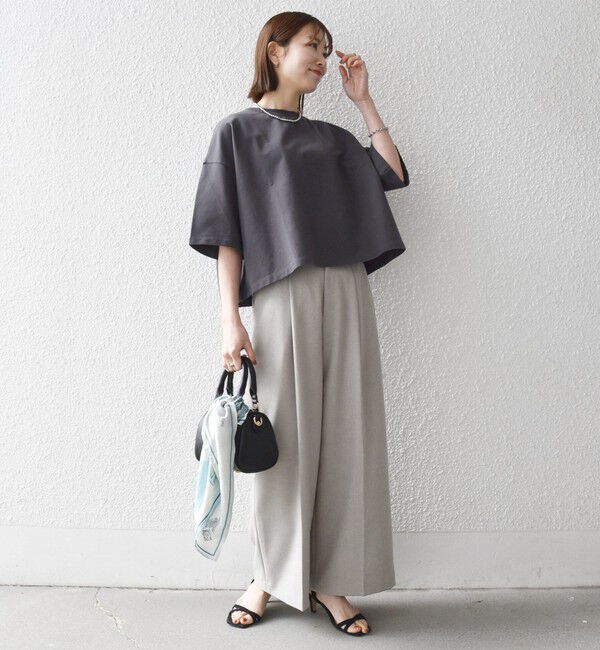 SHIPS any「《一部追加予約》【WEB限定】SHIPS any:〈洗濯機可能〉インレイ ハーフスリーブ ショートTEE」|Tシャツ・カットソー|