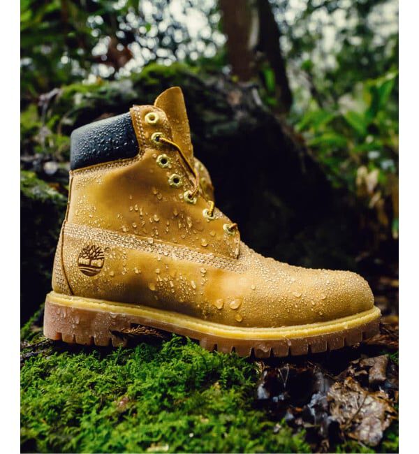JOINT WORKS「Timberland/ティンバーランド 6inch Premium Boots Water Proof」|ショートブーツ|