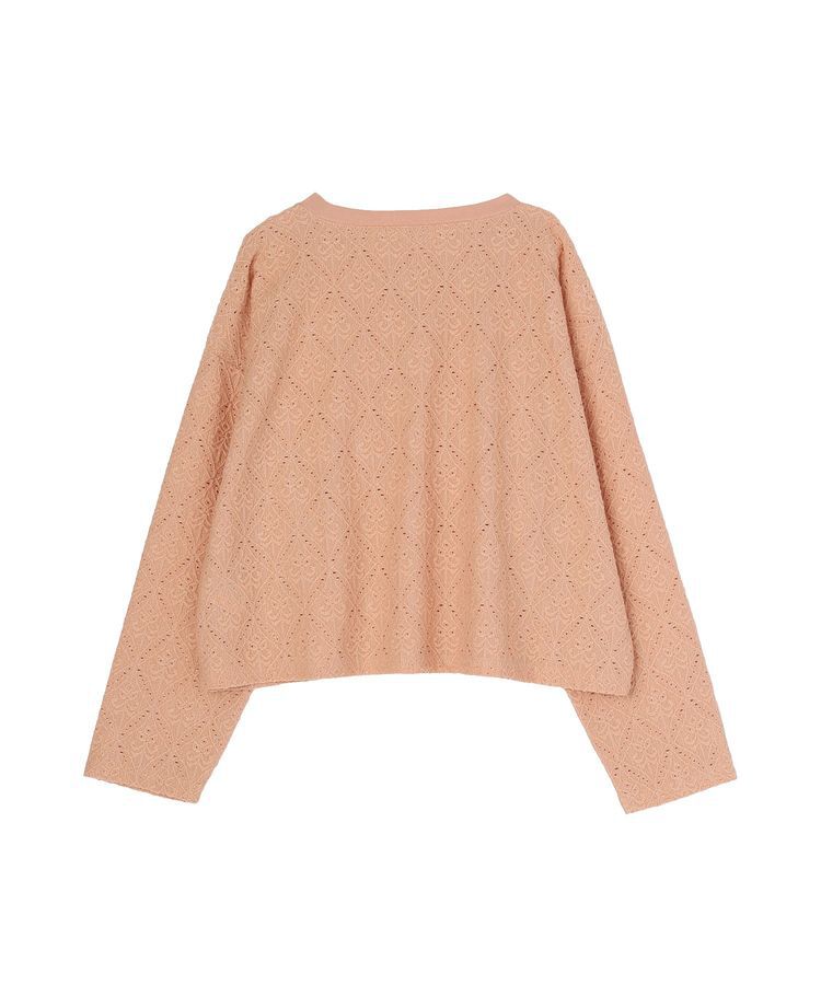 AMERICAN HOLIC「総レースプルオーバー」|Tシャツ・カットソー|