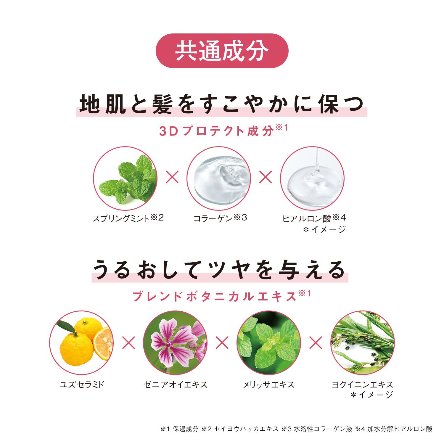 ORBIS「ORBIS スカルプ リファイニング シャンプー つめかえ用 250mL 」|シャンプー|