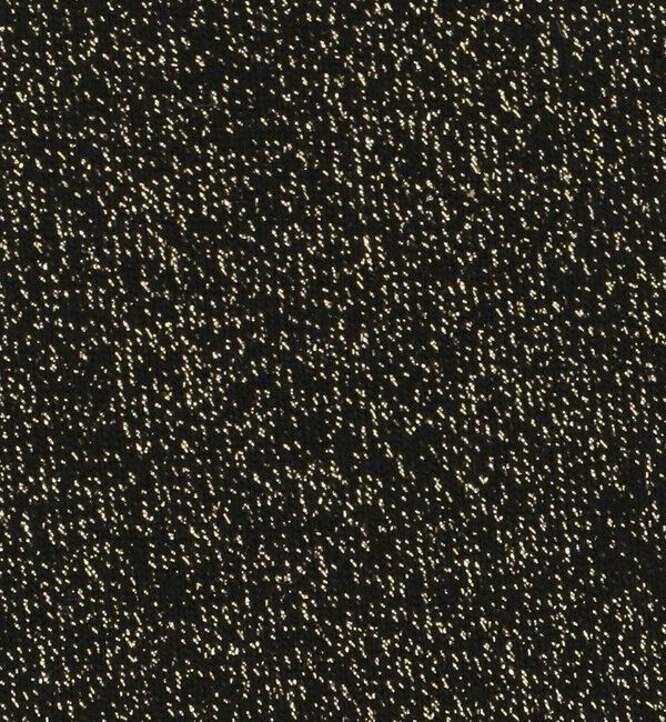 ODETTE E ODILE「＜FALKE＞ Shiny socks」|ソックス|