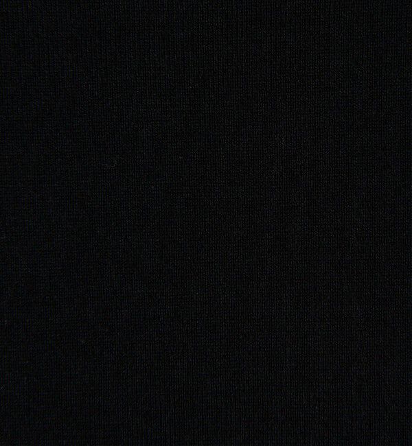 BEAUTY&YOUTH UNITED ARROWS「【WEB限定】フィッシュ ロングスリーブ Tシャツ」|Tシャツ・カットソー|