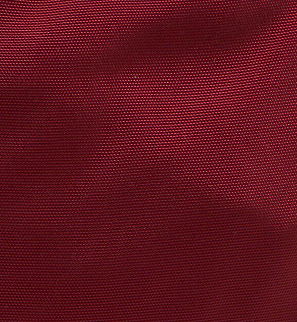 BEAUTY&YOUTH UNITED ARROWS「【別注】＜PARROTT CANVAS＞ナップサック」|リュック|