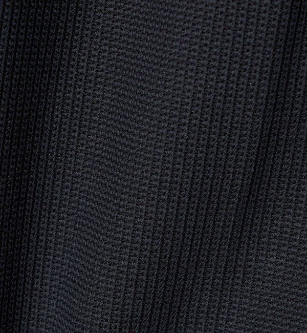 BEAUTY&YOUTH UNITED ARROWS「＜LACOSTE for BEAUTY&YOUTH＞ワントーン ショートパンツ」|その他|