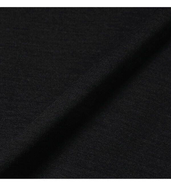 Demi-Luxe BEAMS 「【別注】SLOANE / ウール  タートルネック ロングスリーブ」|Tシャツ・カットソー|