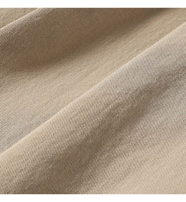 Demi-Luxe BEAMS 「AK+1 / インタック セミワイド パンツ」|チノ|