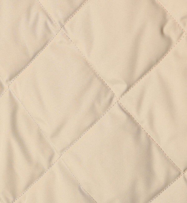 SHIPS any「【SHIPS any別注】TAION:〈手洗い可能〉パイピング フード ジャケット」|ダウン|