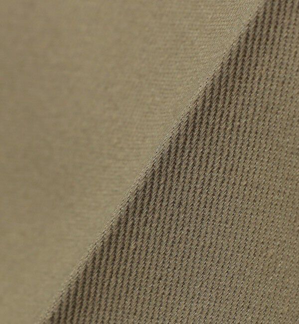 SHIPS any「【SHIPS any別注】Dickies:〈洗濯機可能〉874 T/C ツイル チノパンツ◇」|チノ|