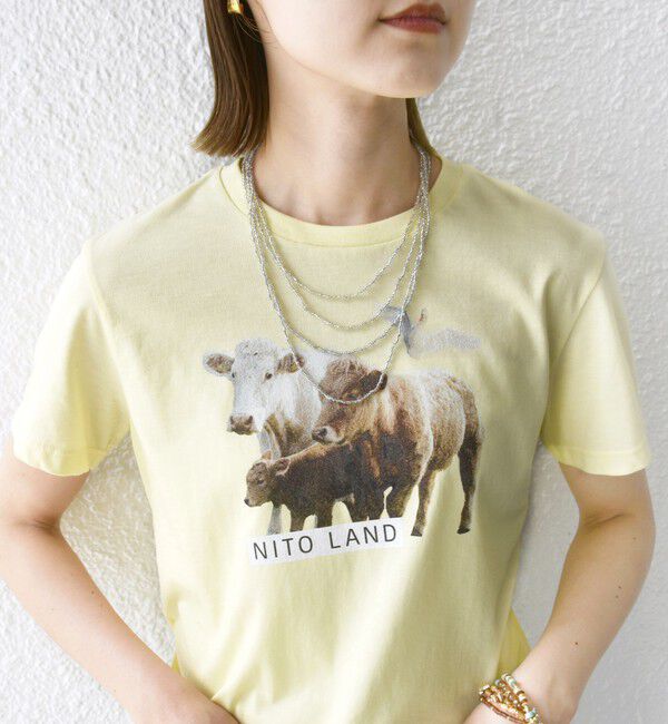 SHIPS for women「【SHIPS別注】ACASAM: フォト TEE」|Tシャツ・カットソー|