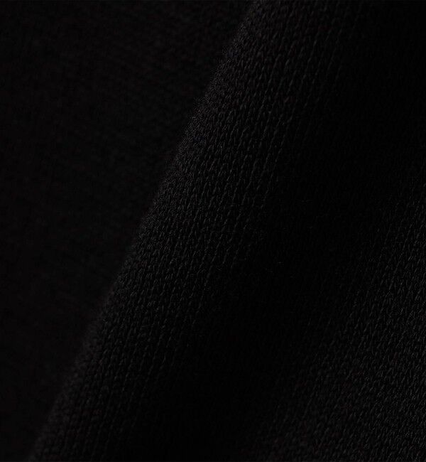 SHIPS for women「gicipi:クルーネック リブ付き ジレ （ZEBRA）」|ベスト・ジレ|