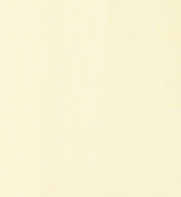 CABaN「タイプライターダブルクロス アシンメトリックフリルシャツ」|シャツ・ブラウス|