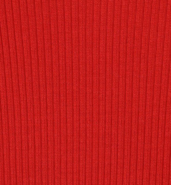 GALERIE VIE「プルミエールウールリブ タートルネックプルオーバー」|ニット・セーター|