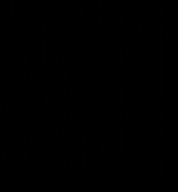 DES PRES「ウールポプリンメルトン ハイネックロングジレ」|ダウンベスト・ベスト|