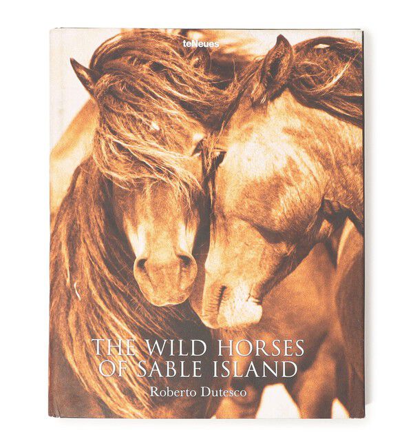 JAMES PERSE「THE WILD HORSES OF SABLE ISLAND BOOK ABK2099」|本・CD・DVD|01 その他