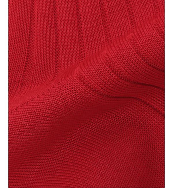 VERMEIL par iena「BRESCIANI ブレッシアーニ  別注リブソックス WD009UN0001」|ソックス|