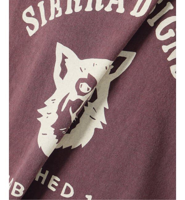 SLOBE IENA「《予約》Sierra Designs/シエラデザインズ SLOBE別注 DOG TEE」|Tシャツ・カットソー|