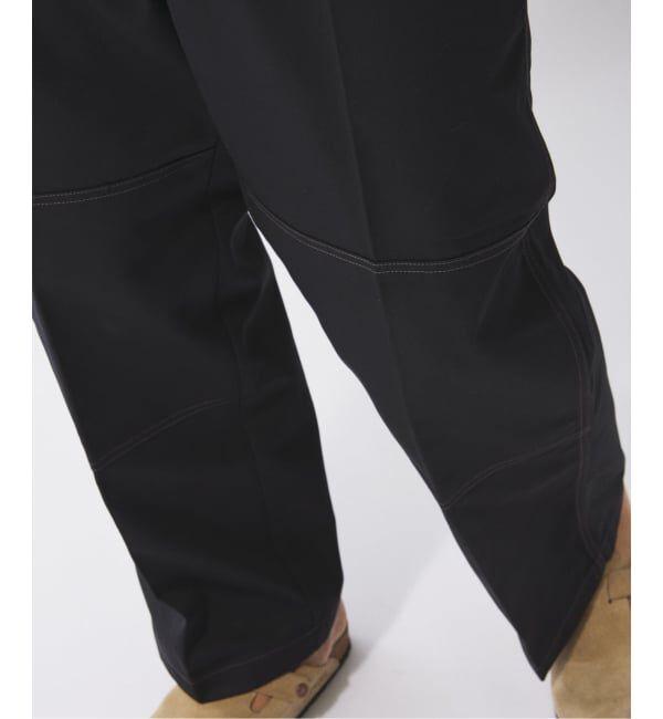 JOURNAL STANDARD relume「DICKIES / ディッキーズ 別注 &rdquo;ダブルニー&times;ダブルヒップ &rdquo; ワークパンツ」|その他|