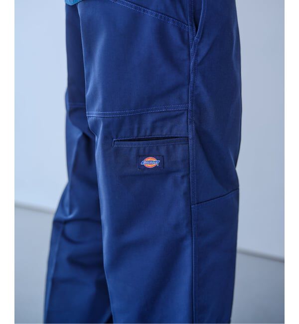 JOURNAL STANDARD relume「DICKIES / ディッキーズ 別注 &rdquo;ダブルニー&times;ダブルヒップ &rdquo; ワークパンツ」|その他|