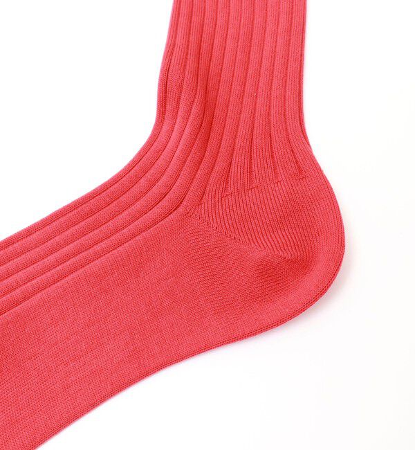 NOLLEY'S「【nolnol/ノルノル】ロゴリブソックス」|ソックス|