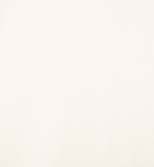 NOLLEY'S「ウォッシャブルシアーフライスロンT」|Tシャツ・カットソー|