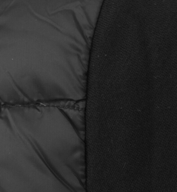 NOLLEY'S goodman「【TAION/タイオン】W-ZIP DOWN HOODIE with SWEATS SLEEVE 25AW」|ダウン|