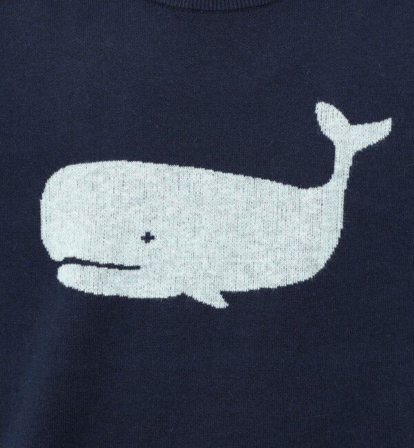 NOLLEY'S goodman「クジラWJQ ダブルジャカードニット 25AW」|ニット・セーター|