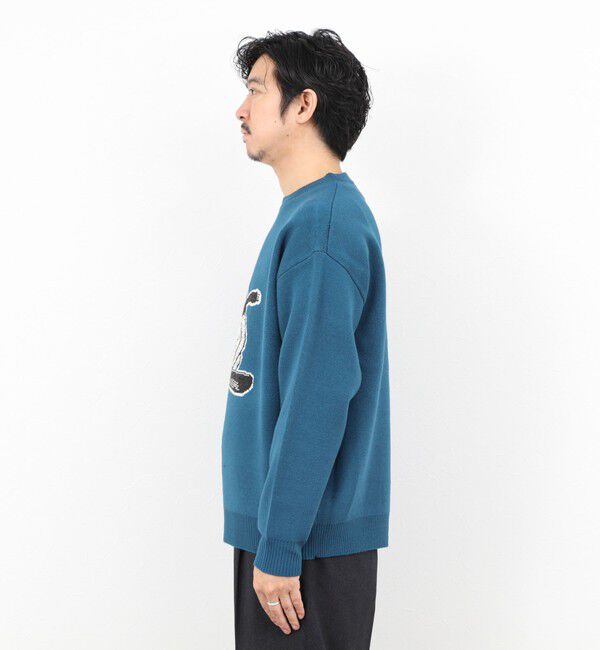 NOLLEY'S goodman「【STONEWOLD】 Yei ウォッシャブル CN 25AW」|ニット・セーター|