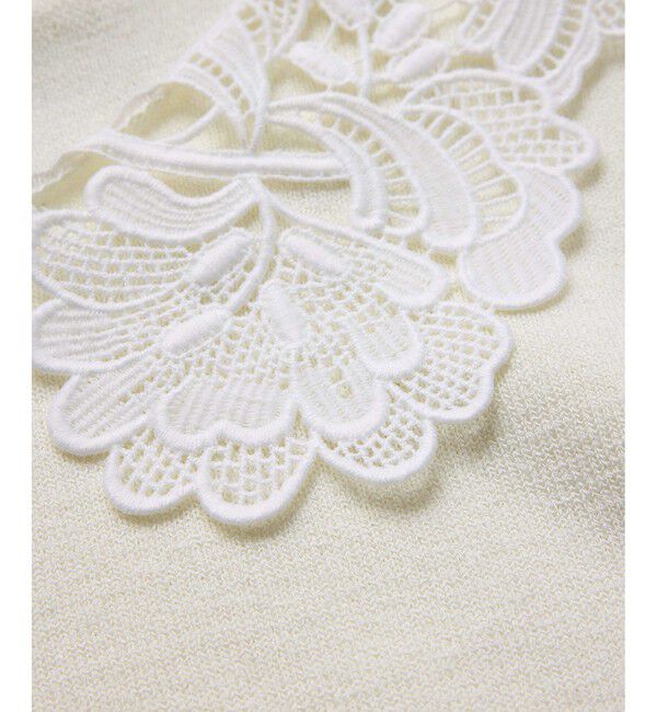 VIS「レースカラーニットプルオーバー/イージーケア」|ニット・セーター|