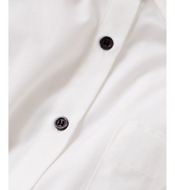 VIS「ウエストリボンシャツ/イージーケア・WEB限定カラー」|シャツ・ブラウス|