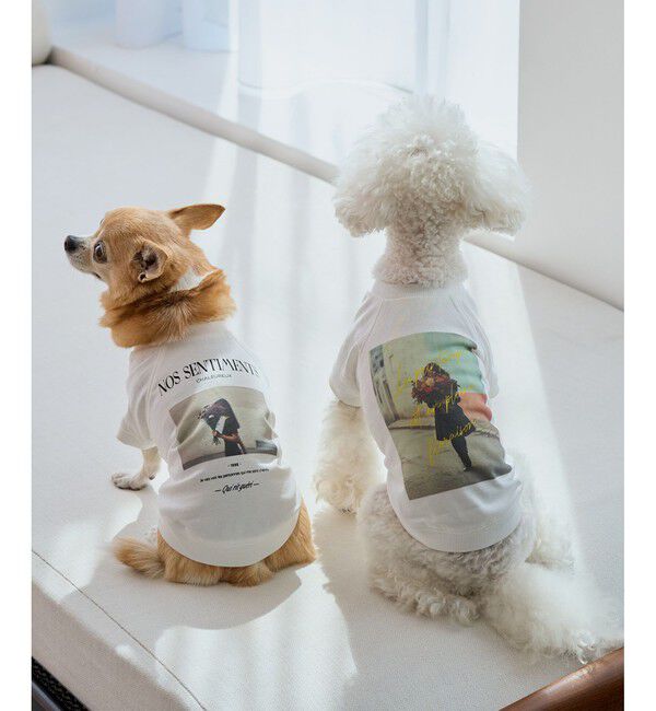 ROPE PICNIC PASSAGE「【DOG】RENUフォト&ロゴTシャツ/リンクコーデ」|その他|