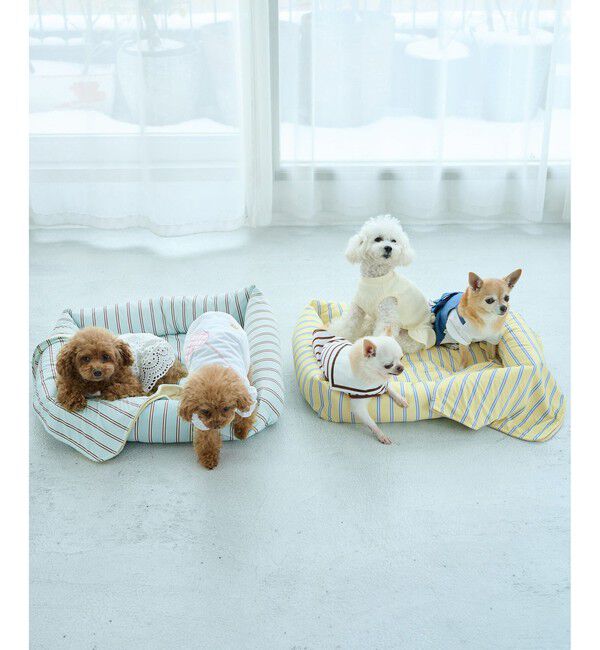 ROPE PICNIC PASSAGE「【DOG】マルチストライプひんやりブランケット」|その他|