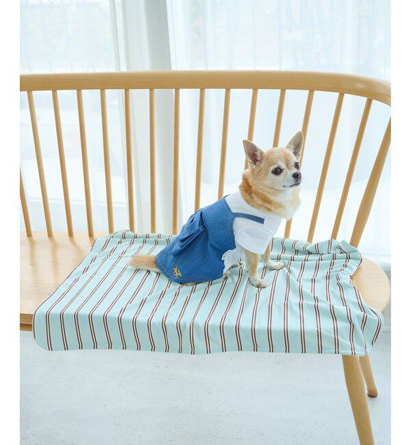 ROPE PICNIC PASSAGE「【DOG】マルチストライプひんやりブランケット」|その他|