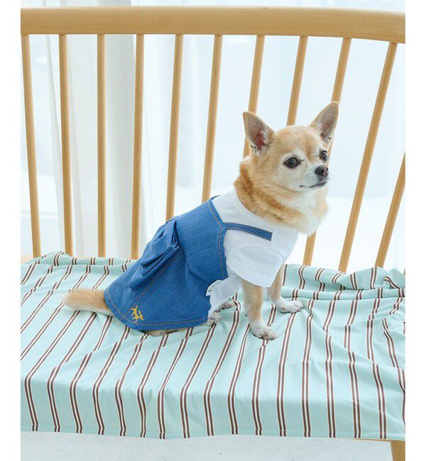 ROPE PICNIC PASSAGE「【DOG】マルチストライプひんやりブランケット」|その他|