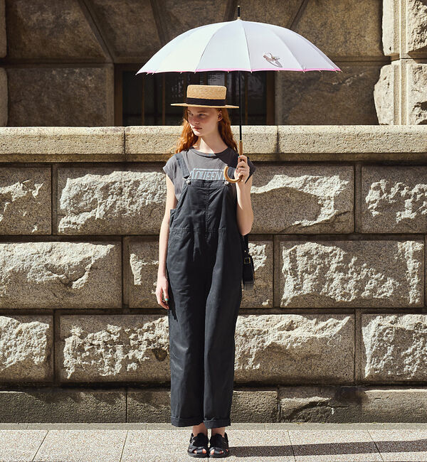 collex「サプリメント 12本骨 雨傘【assa】【WEB限定】」|傘|