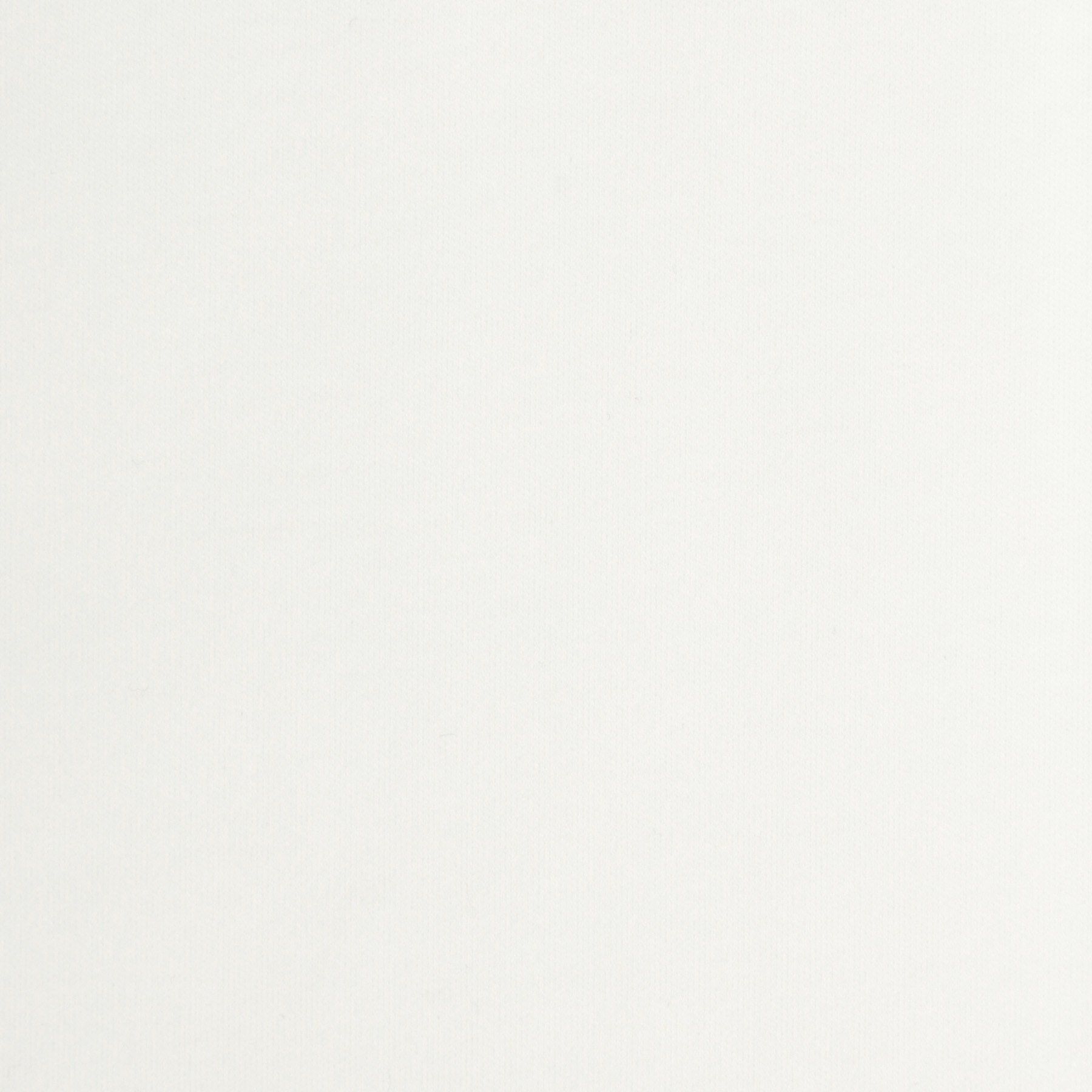 DRESSTERIOR「【干場義雅&times;DRESSTERIOR】ICE CLEAR COTTON Tシャツ」|Tシャツ・カットソー|