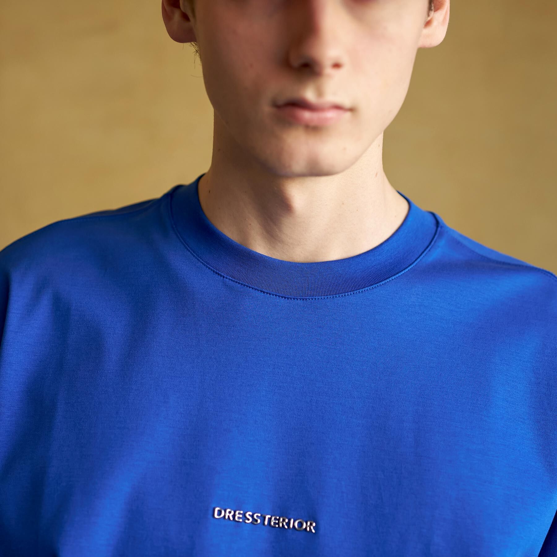 DRESSTERIOR「【接触冷感／抗菌防臭／消臭】ICE CLEAR COTTON NINEストリートTシャツ」|Tシャツ・カットソー|