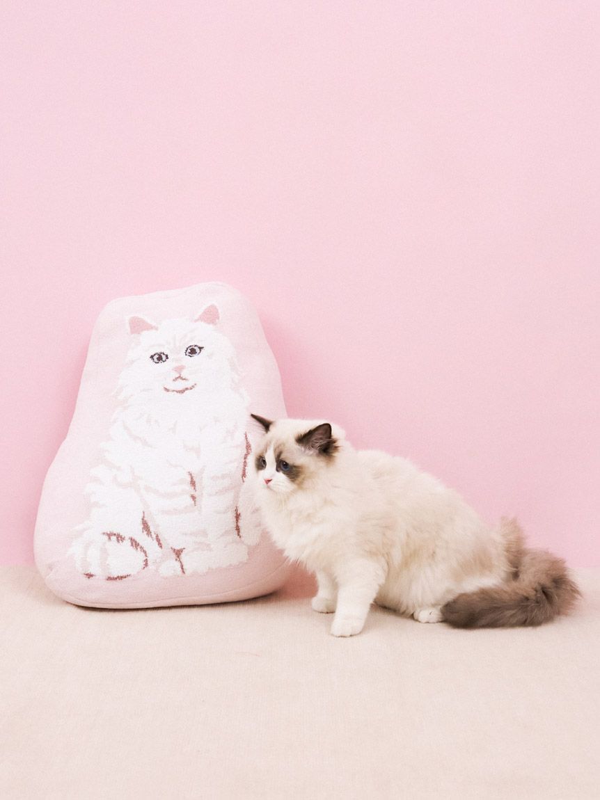 gelato pique Sleep「【Sleep】エアリーモコキャットダイカットクッション」|クッション・クッションカバー|