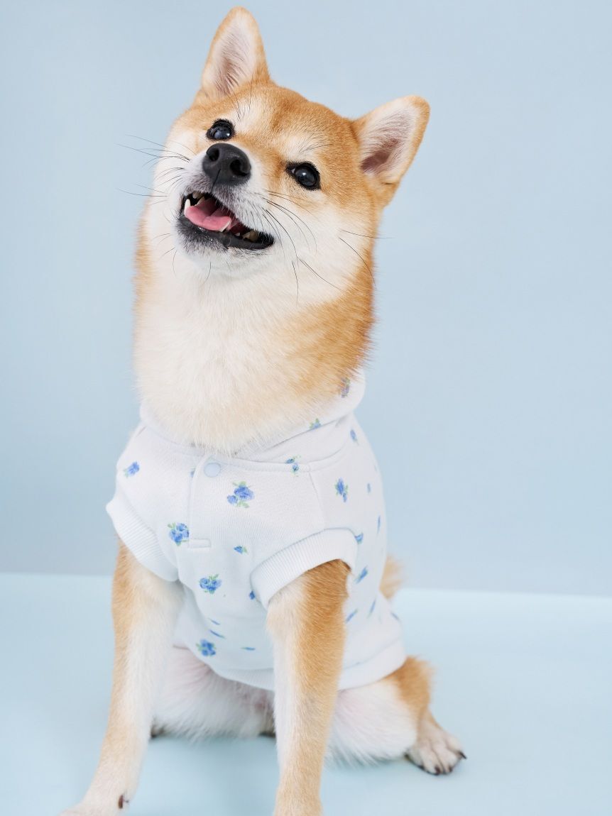  GELATO PIQUE CAT&DOG「【CAT&DOG】フラワー柄裏毛フーディー」|その他|