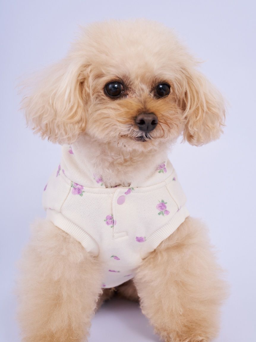  GELATO PIQUE CAT&DOG「【CAT&DOG】フラワー柄裏毛フーディー」|その他|