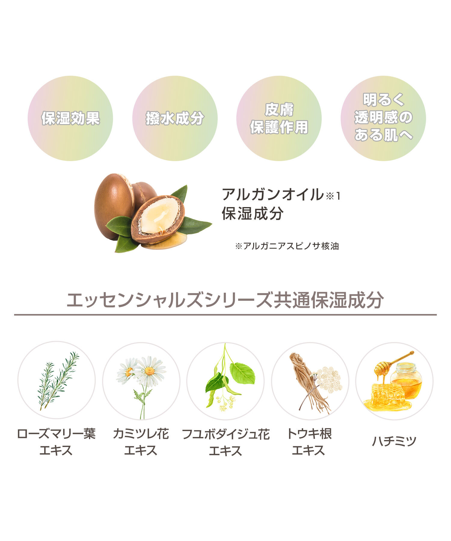 MARY QUANT「『数量限定』エッセンシャルズ ハンドクリーム」|ハンドケア|