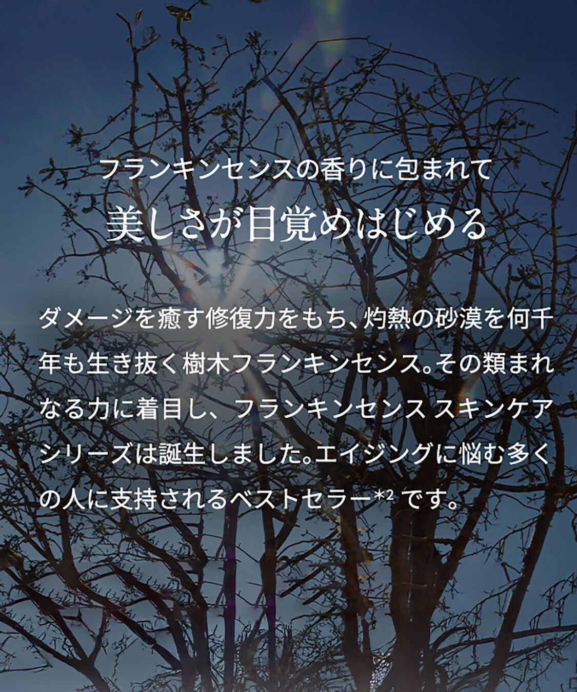 NEAL&rsquo;S YARD REMEDIES「フランキンセンス インテンス リフトクリーム 50mL」|美容液・オイル・クリーム|