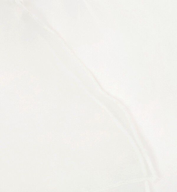 UNITED ARROWS「＜AYA KANEKO&times;IRIS 47&times;UNITED ARROWS＞オーガンジー つけ襟」|その他|