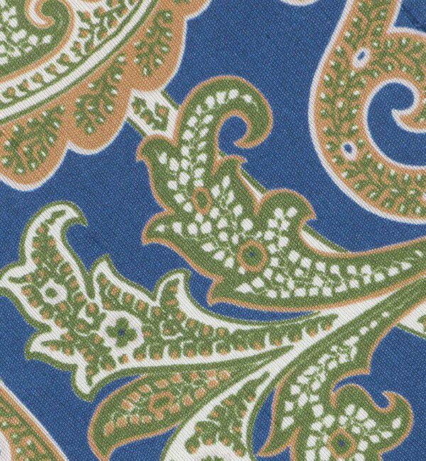 UNITED ARROWS「＜SOVEREIGN＞ビッグ プリント ペイズリー ネクタイ」|ネクタイ・蝶ネクタイ|