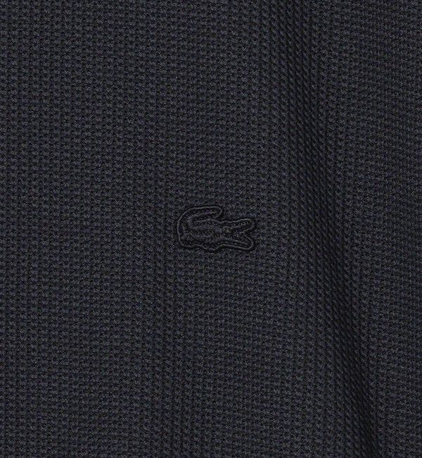 BEAUTY&YOUTH UNITED ARROWS「＜LACOSTE for BEAUTY&YOUTH＞1トーン ショートスリーブ Tシャツ」|Tシャツ・カットソー|