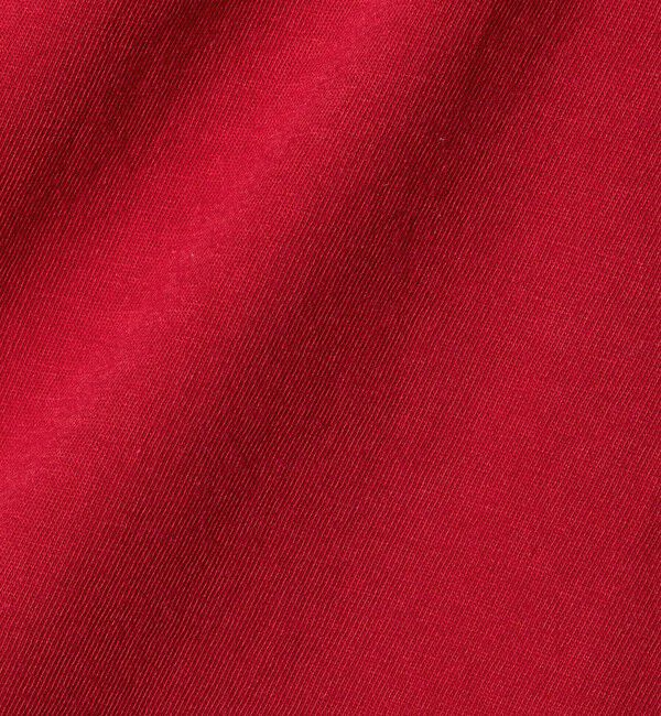 ATTISESSION「＜ATTISESSION＞フラワーモチーフ ホール ロングスリーブ Tシャツ」|Tシャツ・カットソー|