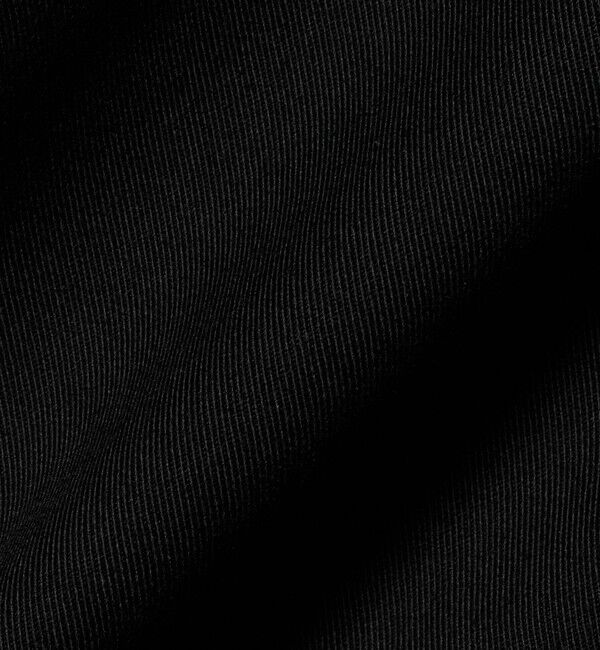 BEAUTY&YOUTH UNITED ARROWS「＜LACOSTE for BEAUTY&YOUTH＞ジップ ブルゾン」|その他|