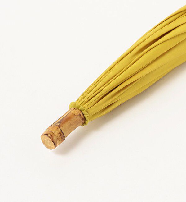 BEAMSBOY「Dicesare Designs / Kabocha傘」|傘|