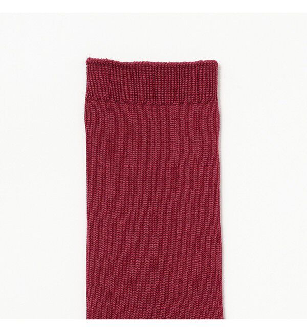 Ray BEAMS 「リブ ソックス」|ソックス|